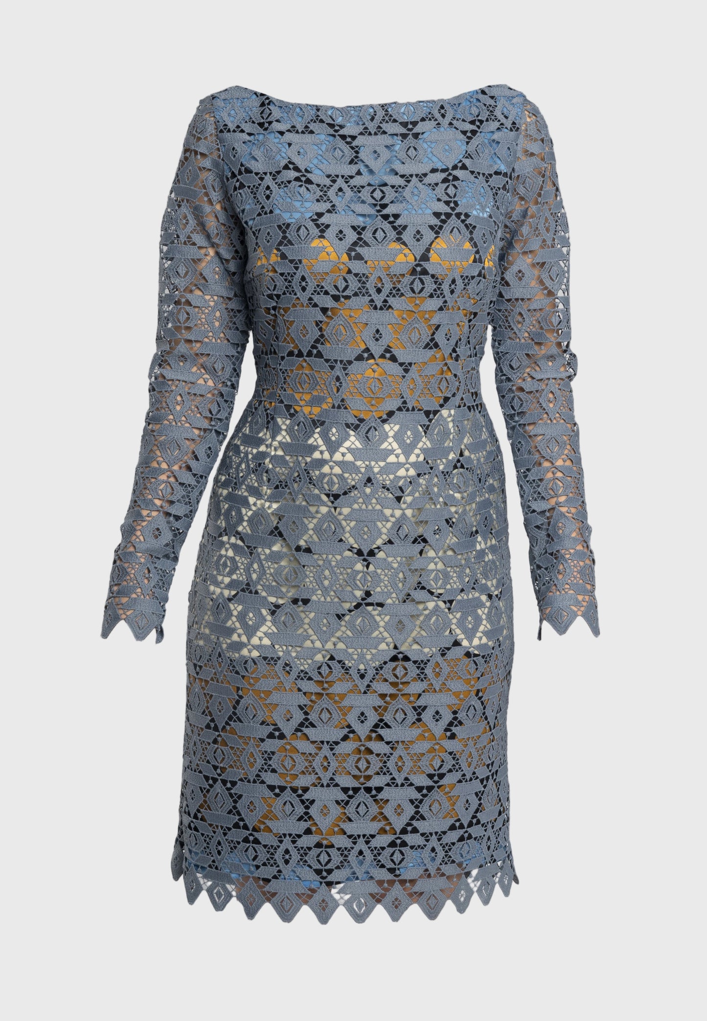 Italian lace sheath dress, modern feminine dress, elegant lace overlay dress, high-fashion dress, stylish floral lace dress